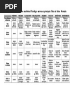 Tabela Comparativa Filos Do Reino Animalia
