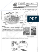 Biologia - Pré-Vestibular Impacto - Célula