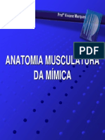 Anatomia Musculatura Mimica