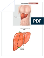 Pediatria Clinica