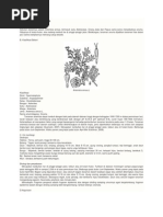 Download Artemisia Annua by Annisa Firdausi SN214079312 doc pdf