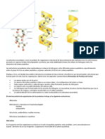 Estructura Secundaria de Las Proteinas