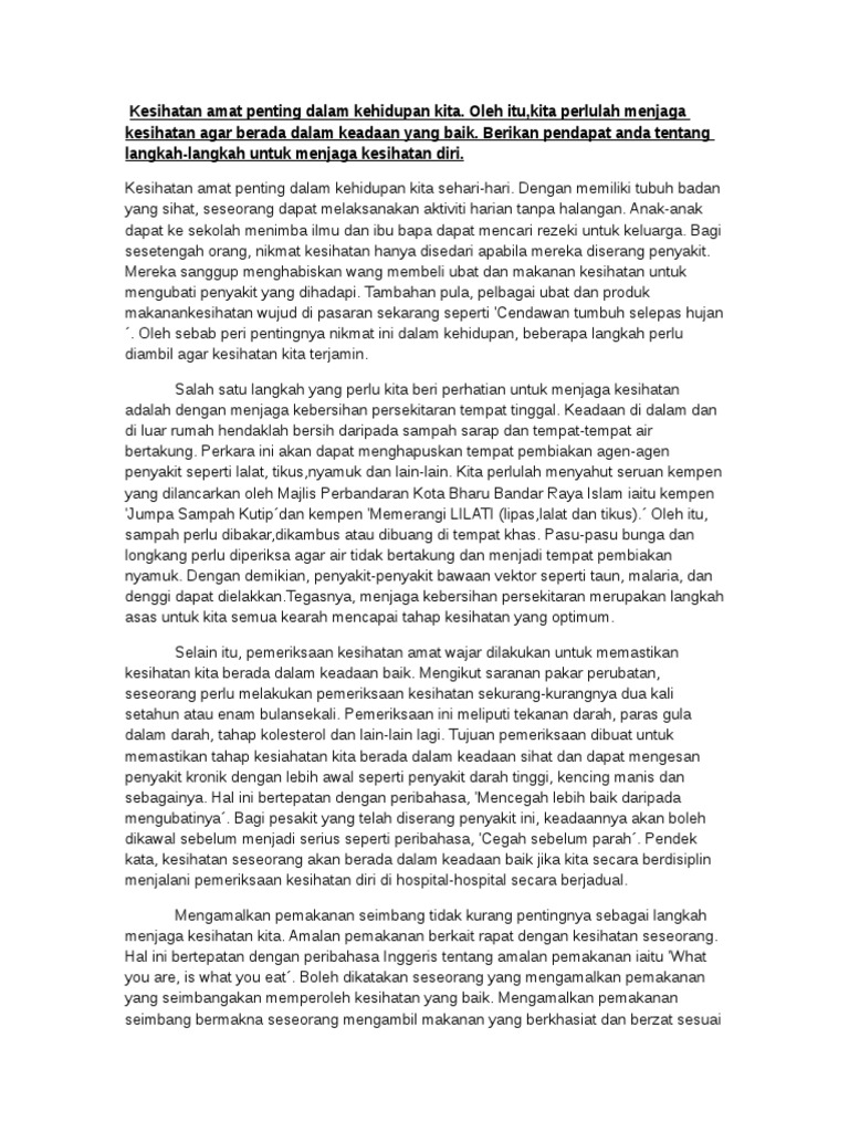 Langkah-Langkah Penjagaan Kesihatan | PDF