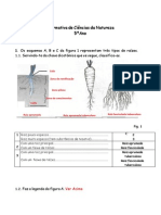 Testeciencias 6ºano