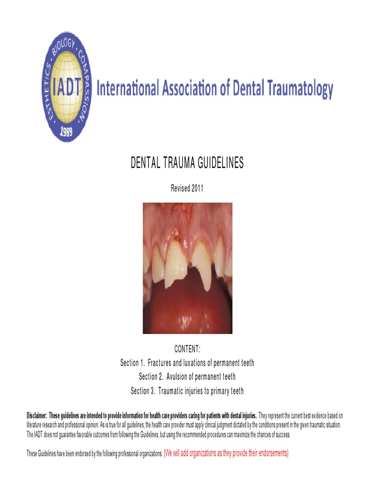 Dental trauma guidelines tooth enamel dental anatomy free 30 day