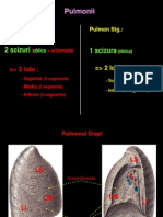 Segentatia Pulmonului (De Predat La LP)