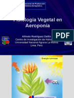 Fisiología Vegetal en Aeroponía