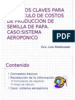 Aspectos Claves para El Cálculo de Costos de Producción de Semilla de Papa. Caso: Sistema Aeropónico