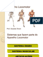 Anatomia e Fisiologia Humana_Aula_04