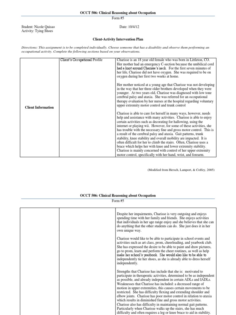 sem 1 occt 506 occupational analysis paper Occupational Therapy