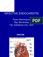 Infective Endocarditis 56