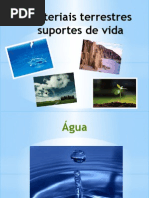 IMPORTÂNCIA DA ÁGUA PARA OS SERES VIVOS