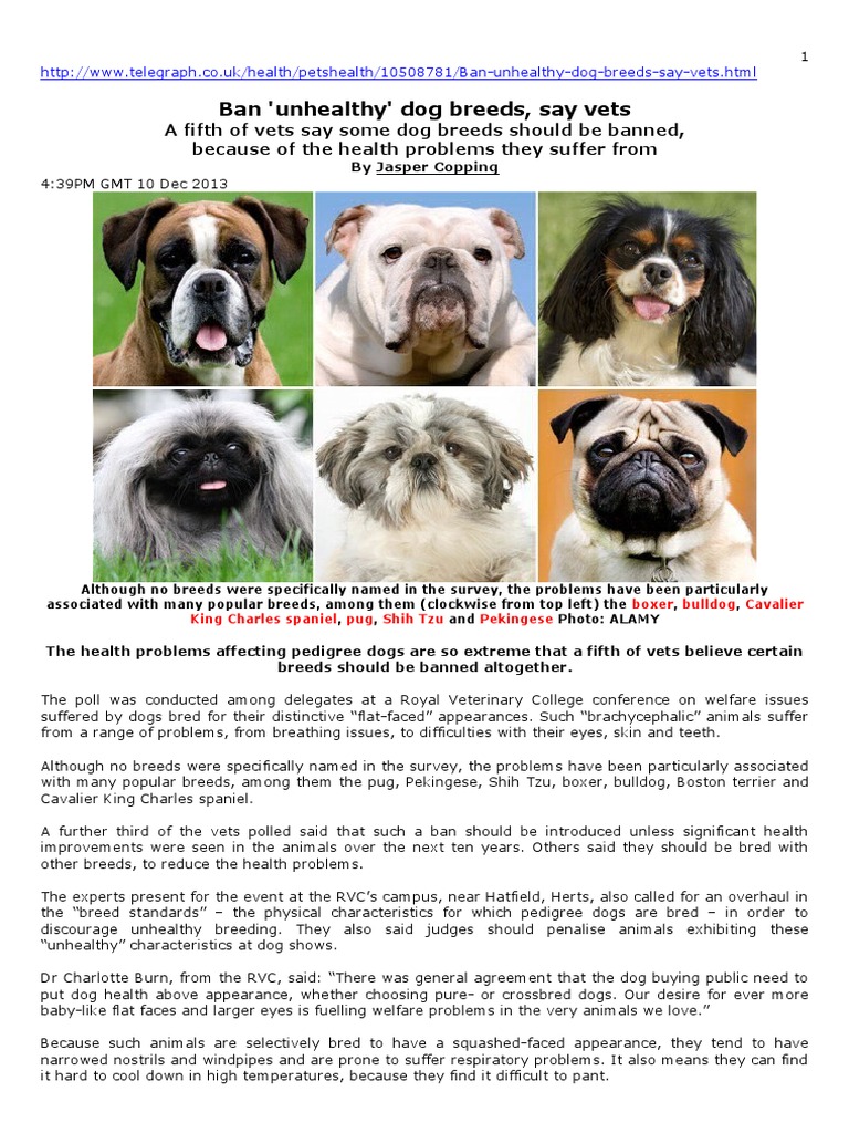 unhealthy dog breeds