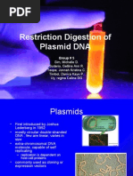 Download Restriction Digestion of Plasmid DNA by Michelle SN21423345 doc pdf