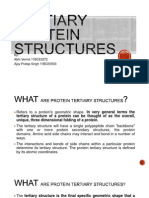 Tertiary Protein Structures