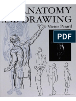 27705499 Anatomy and Drawing