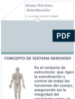 Neuropsicología Del Aprendizaje