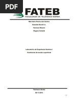 Relatório Tensão Superficial