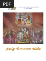 19 - ATM - ANTIGO TESTAMENTO MÉDIO - CD19