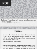 Torturas e Penas Cruéis, Desumanas ou Degradantes