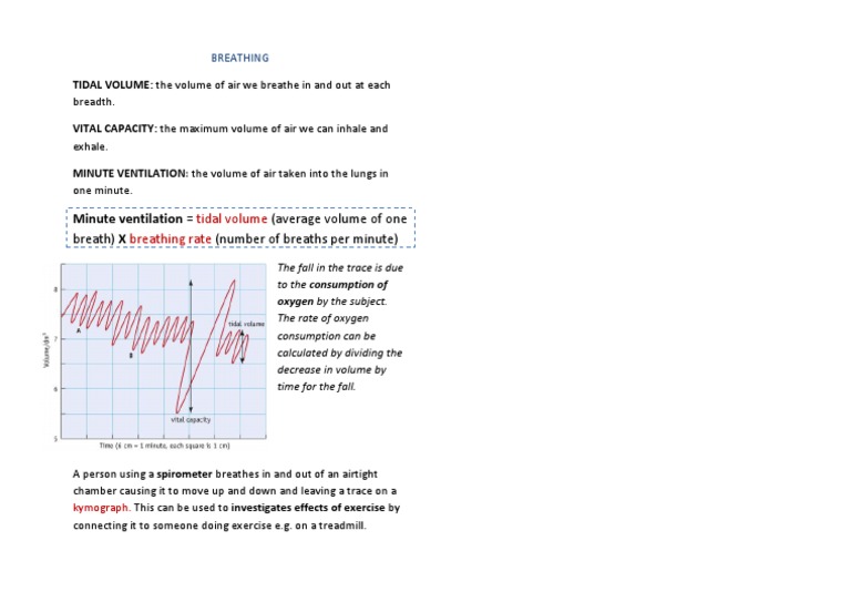 Breathing Metrics and Spirometry | PDF | Science & Mathematics