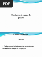 Aula 7 - Montagem Da Equipe Do Projetos