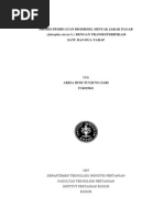 Download Proses Pembuatan Biodiesel Minyak Jarak Pagar-libre by Dip Dut SN214313779 doc pdf