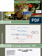 Energy Relationships Simple Intro