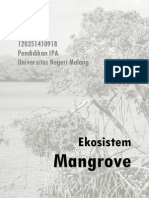 Ekosistem Mangrove