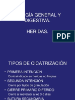Cirugia General y Digestiva 2011 (1)