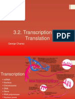 3 2 Transcription and Translation