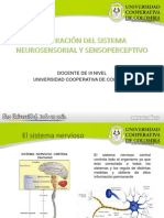 Valoración Del Sistema Neurosensorial y Sensoperceptivo