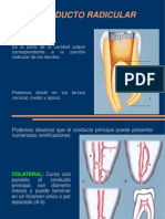 Expo de Endo. Conductos Radiculares