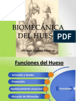 Biomecánica Del Hueso