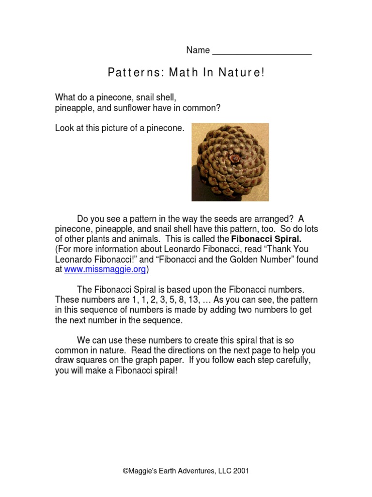 Fibonacci Math in Nature | PDF | Art