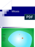 Mitosis