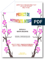 Proiect de o Zi - o Aventura Strumeasca