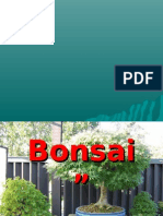 Bonsai 2