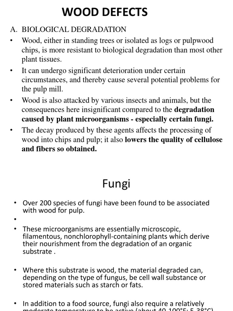 10 most common birth defects image