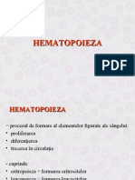 26931180-Hematopoieza