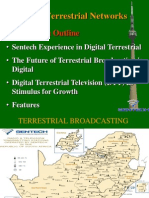 Digital Terrestrial Networks: Presentation Outline