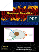 Aula 2-Estrutura da membrana plasmática