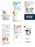 Leaflet ASI Eksklusif - Copy