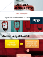 Anemia Megaloblastik: Elsye Souvriyanti