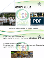 Produccion y Cemrcializacion de Productos Agroindustriales - Santa Maria