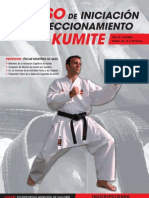 Cartel A3 Curso Kumite