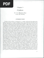 Download Cashew by E V V Bhaskat-aRao  K R M Swamy by Achly Denisse Saez SN214460522 doc pdf