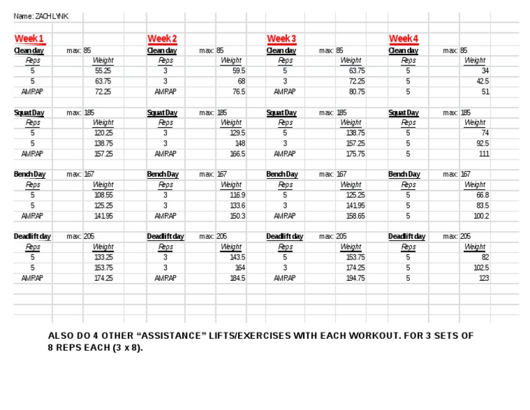 Sample 531 Workouts | PDF