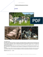 Alimentacion Animal