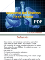 Clase #1. Anatomia Respiratoria PDF